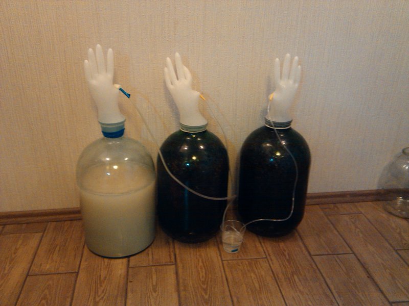 Вино из винограда в домашних условиях рецепты в банке с фото перчаткой