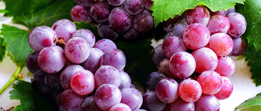 выбор винограда для самогона