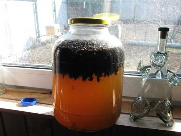 Подмор пчелиный настойка на спирту, водке. Рецепт применения