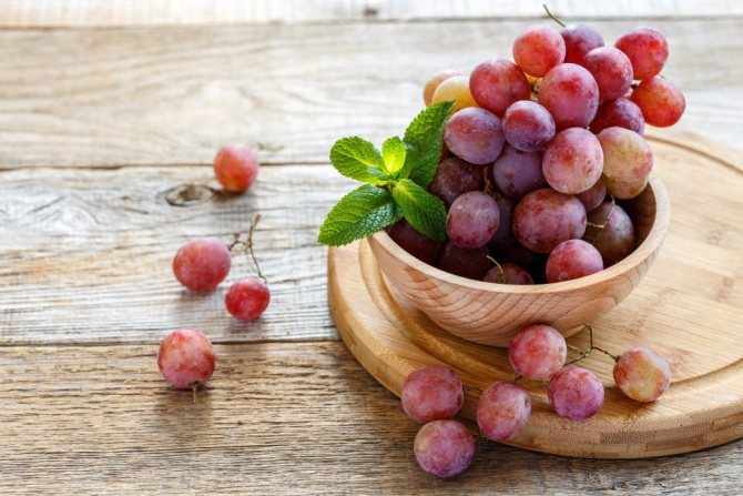 Сколько сахара в винограде, кислотность и содержание сахара