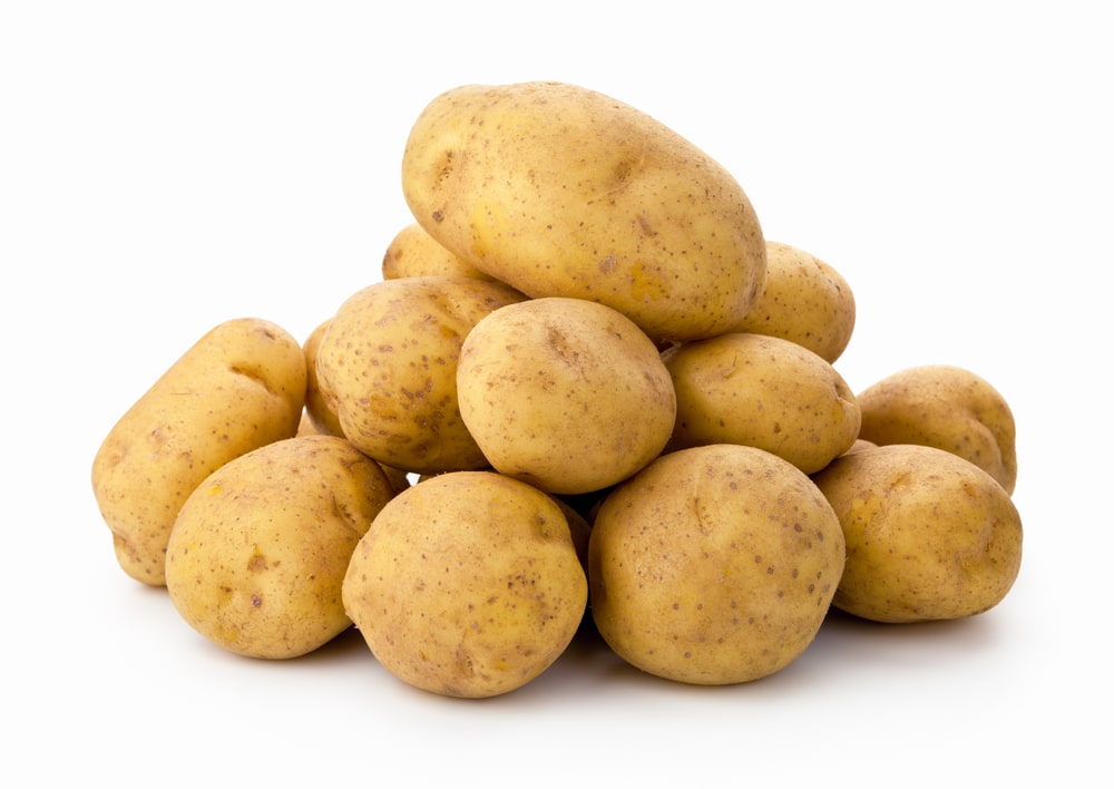 Рецепт браги из картофеля 