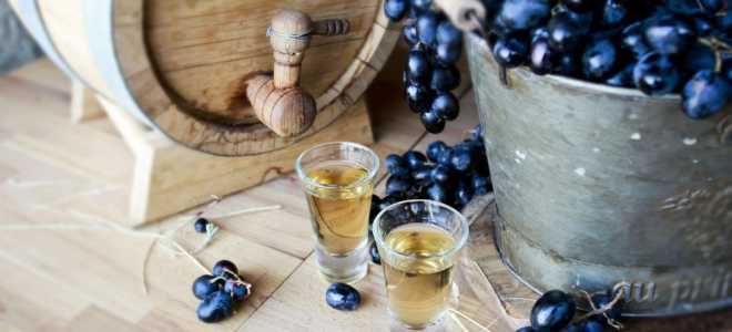 Как сделать чачу из винограда в домашних условиях: пошаговый рецепт