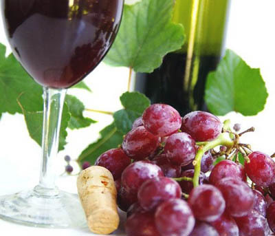 Болезни вина – причины, профилактика и методы лечения