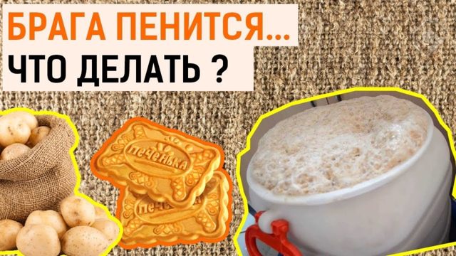 Брага из фруктов сильно пенится - что делать