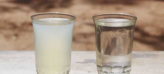Как правильно разбавить самогон водой: чтобы не помутнел и был вкусным