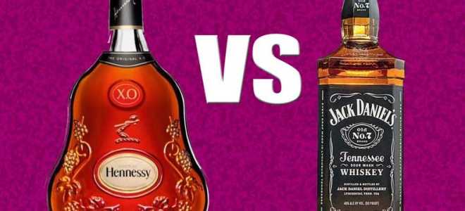 В чём отличия между коньяком и виски, какой из этих алкогольных напиток предпочтительнее пить