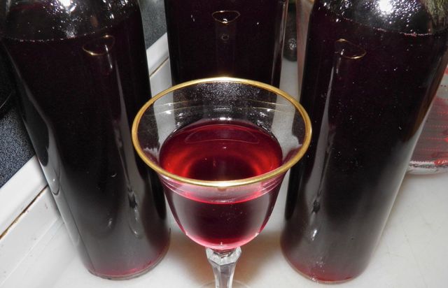 Домашнее вино из сливы – рецепт и технология приготовления