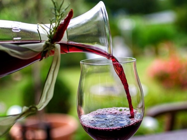 Домашнее вино из сливы с косточками – правильный рецепт