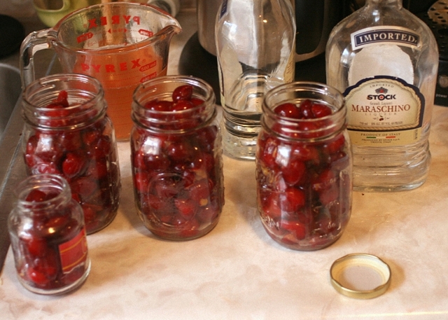 Домашние рецепты вишни (черешни) в вине