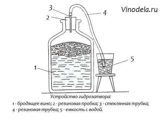 Гидрозатвор для брожения своими руками – 4 лучших конструкции