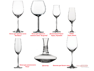 Как правильно выбирать бокалы для вина