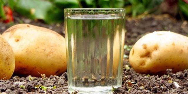 Правильная вода для фруктового самогона