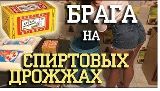 Спиртовая брага – рецепт и пропорции воды, сахара, дрожжей