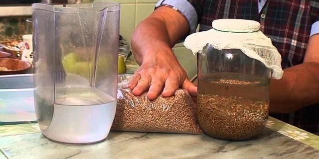 Старинный рецепт браги из пшеницы без дрожжей
