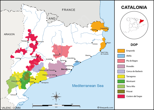 Вина Каталонии: история особенности региона, известные марки