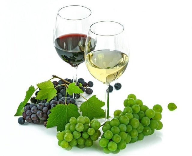 Вино Барбера: особенности, история, виды и культура пития