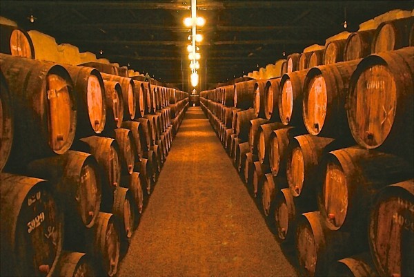 Вино Бастардо: описание, особенности, культура пития и марки