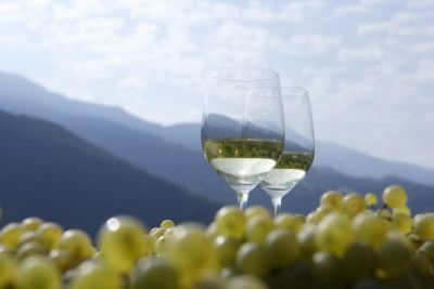 Вино Гевюрцтраминер – особенности и культура употребления