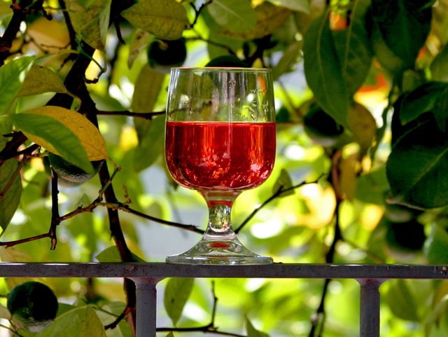 Вино из барбариса в домашних условиях – рецепт и технология