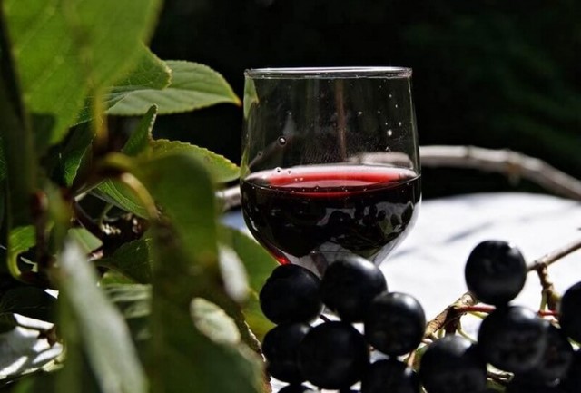 Вино из бузины в домашних условиях - рецепты из цветков и ягод