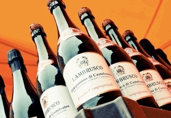 Вино Ламбруско (lambrusco) – итальянский аналог шампанского