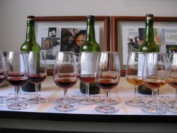 Вино Мадера: понятие, история, виды и культура употребления