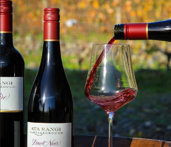 Вино «Пино нуар (pinot noir)» – особенности и культура употребления