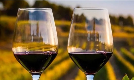 Вино «Пино нуар (pinot noir)» – особенности и культура употребления