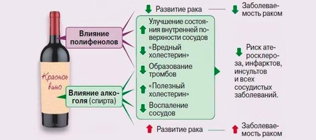 Вино повышает или понижает давление: о влиянии на сердце