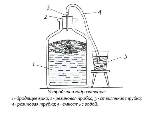 Вино с добавлением воды в домашних условиях: рецепт и расчеты