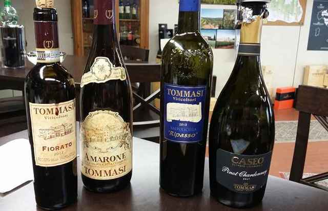 Вино Вальполичелла: особенности, виды и культура пития
