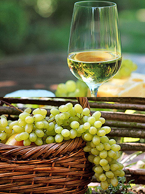 Виноградное вино в домашних условиях – универсальный рецепт