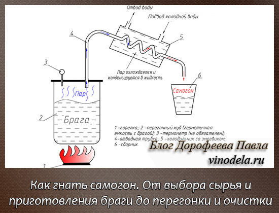 Влияние сахара на качество фруктовой браги