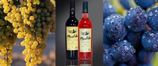 Вино Айрен: особенности, культура пития, известные марки